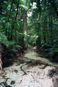 Wanggoolba Creek